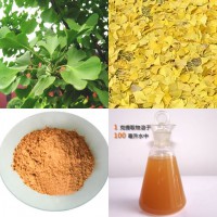 Ginkgo Biloba